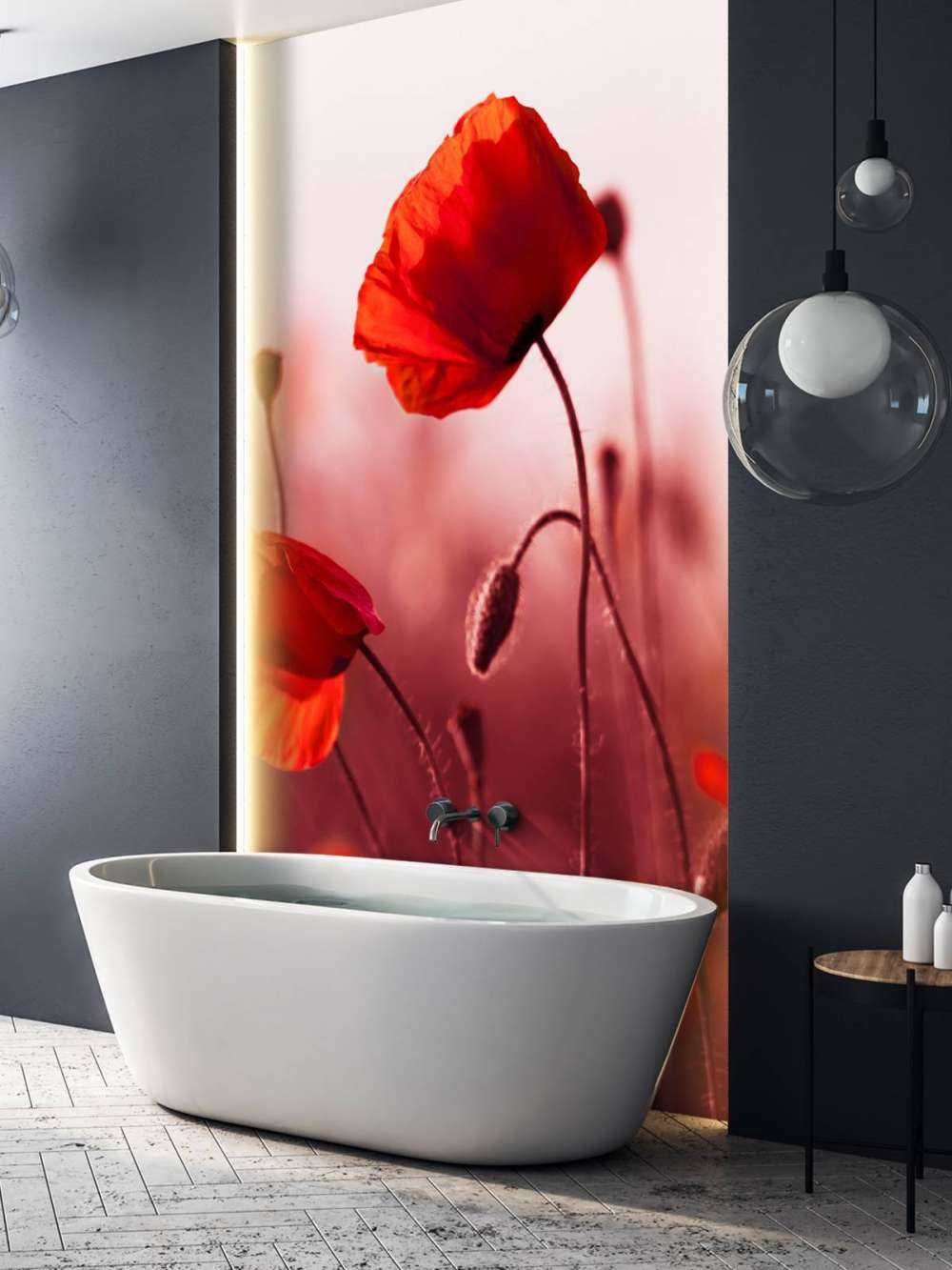 Des coquelicots dans la prairie