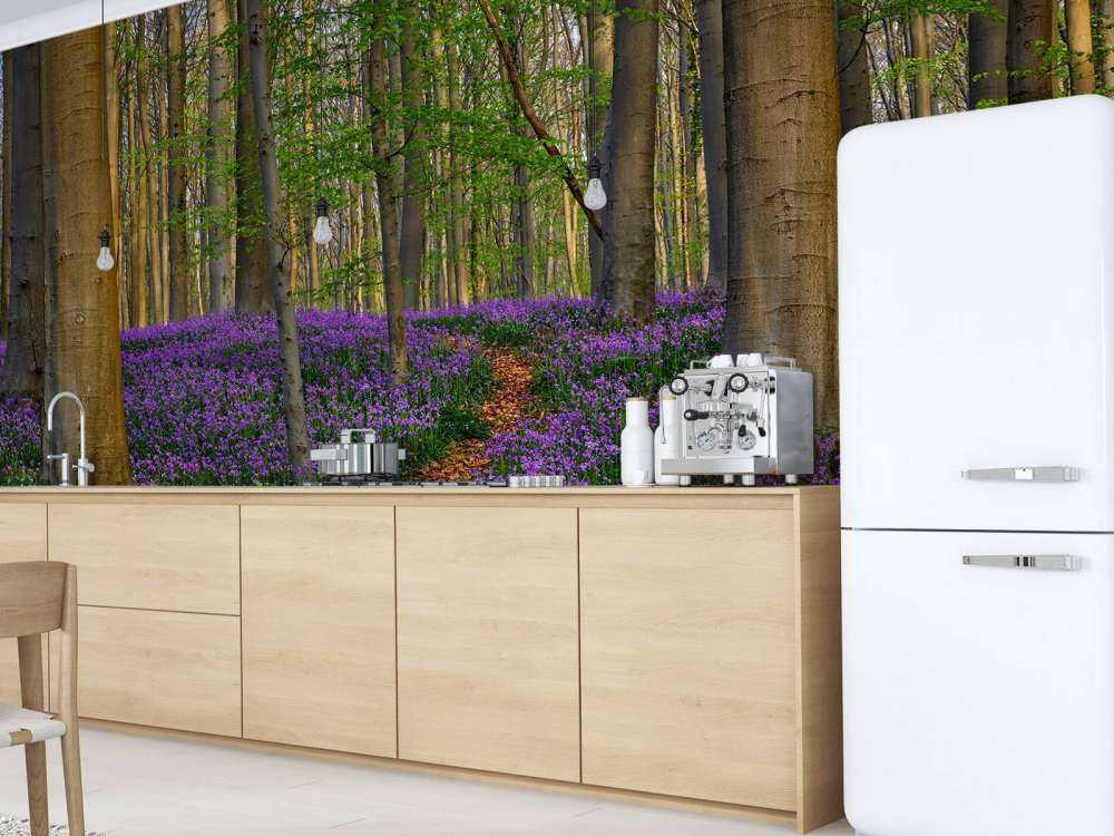 Joli chemin à travers la forêt