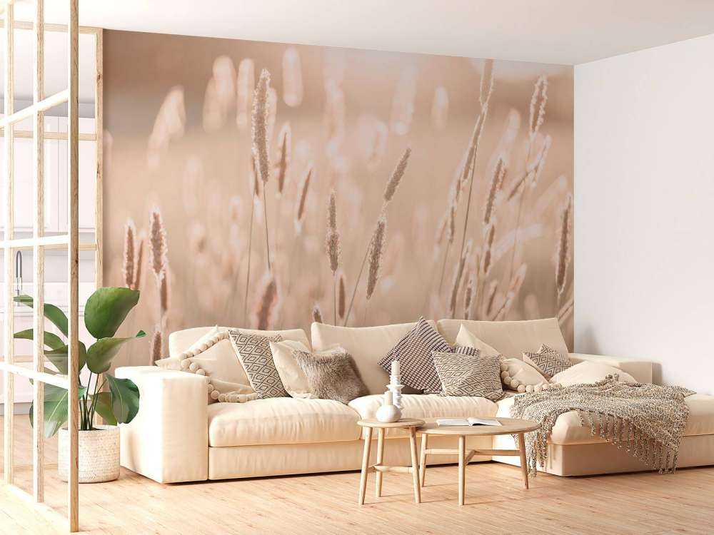 Lumière du soleil à travers la prairie