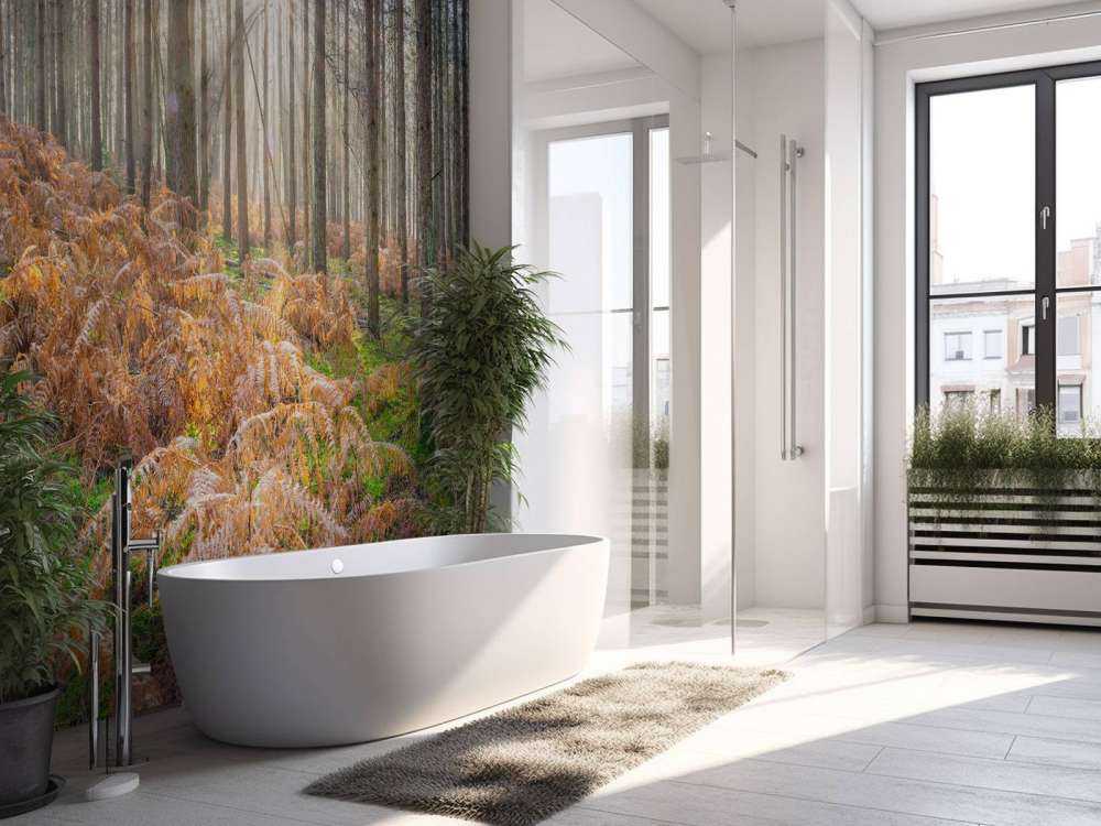 Forêt au lever du soleil