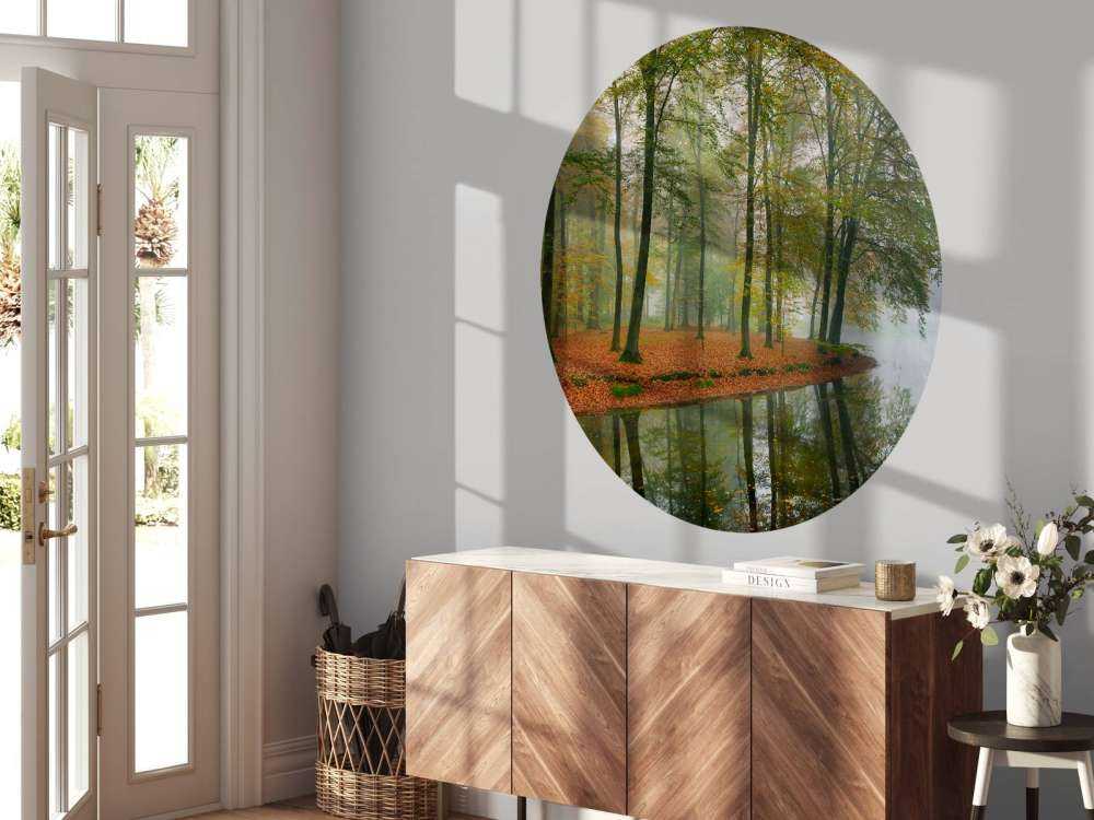 Réflexion d'arbres dans un étang