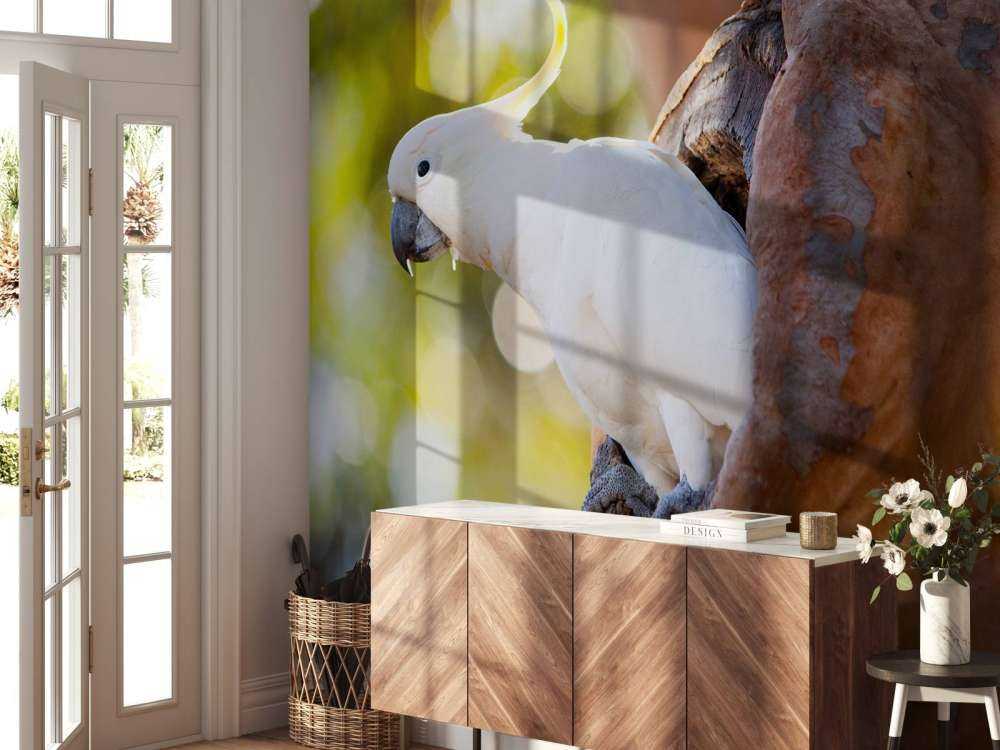 Cacatoès dans la cavité d'un arbre