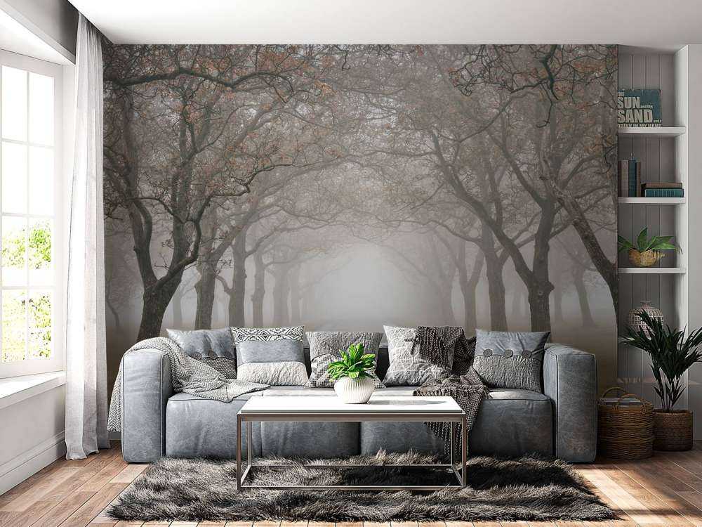 Route avec de vieux arbres