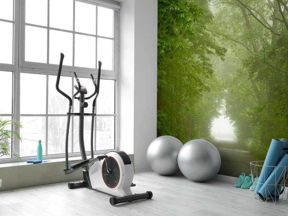 Forêt verte avec chemin brumeux