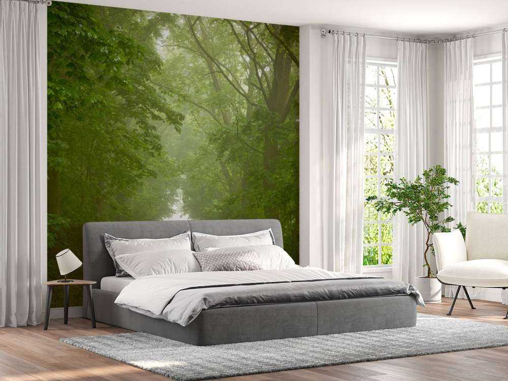 Forêt verte avec chemin brumeux