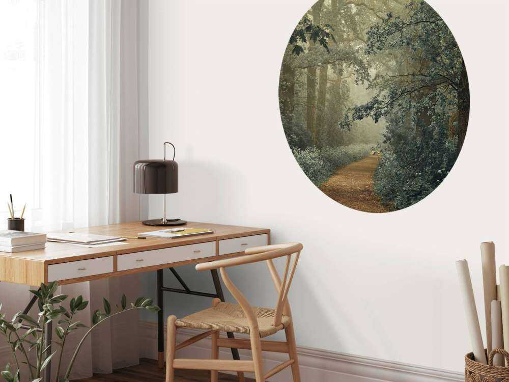 Chemin à travers la forêt avec du brouillard