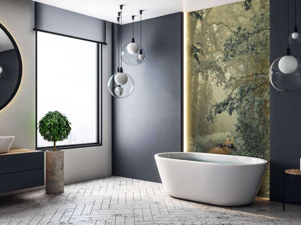 Chemin à travers la forêt avec du brouillard