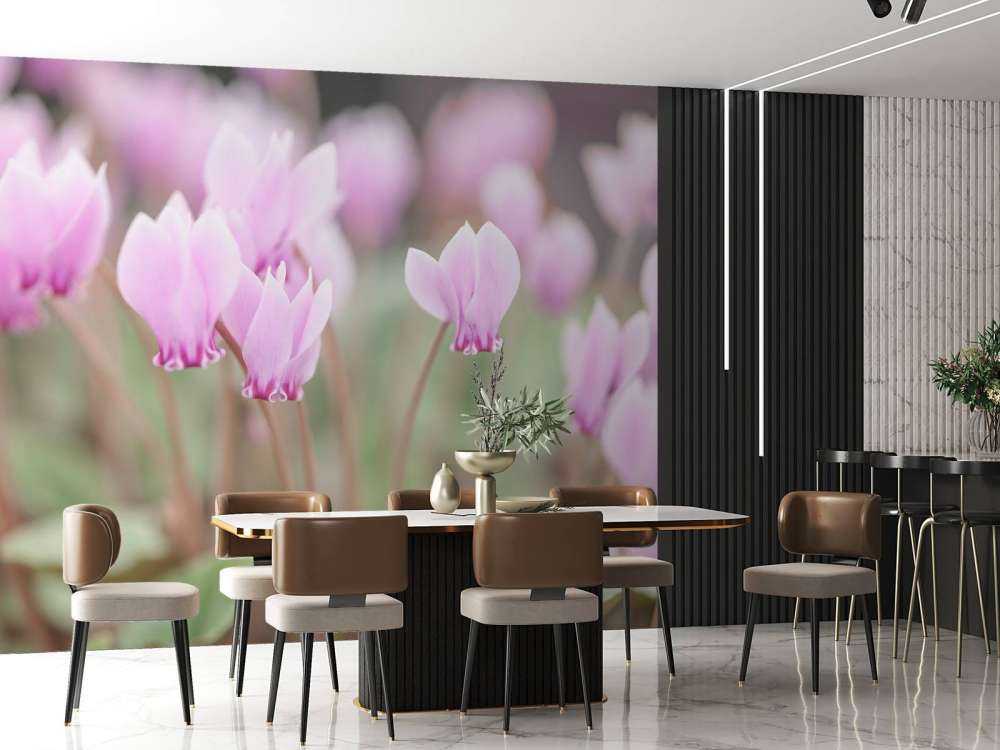 Jolies fleurs de lierre