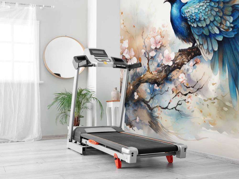 Paon dans la Brume de Printemps