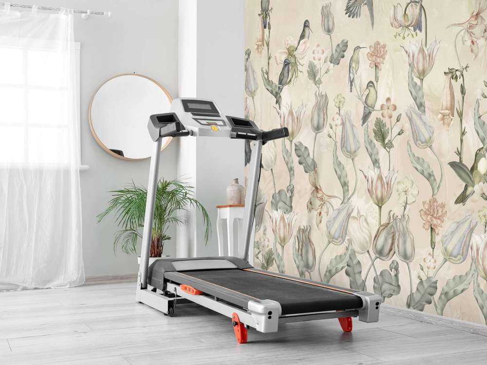 Symphonie du Colibri de Printemps - Murmure du Désert