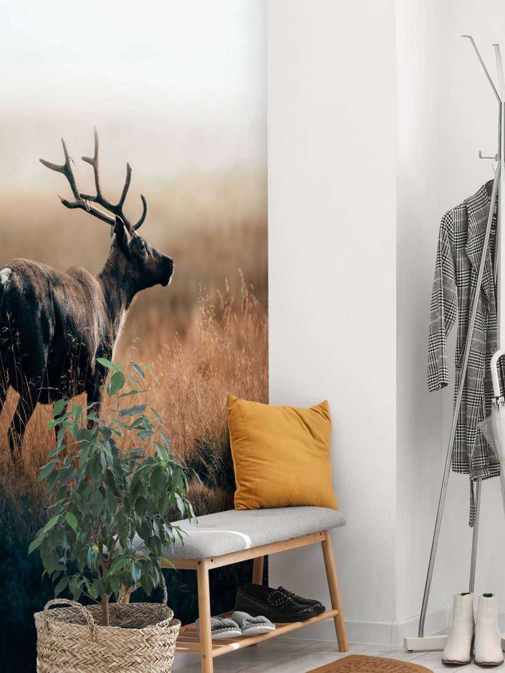 Renne dans les hautes herbes