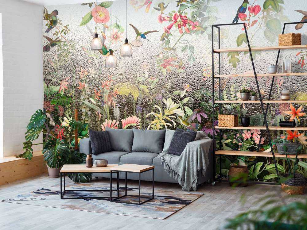 Paradis des Oiseaux Pluvieux