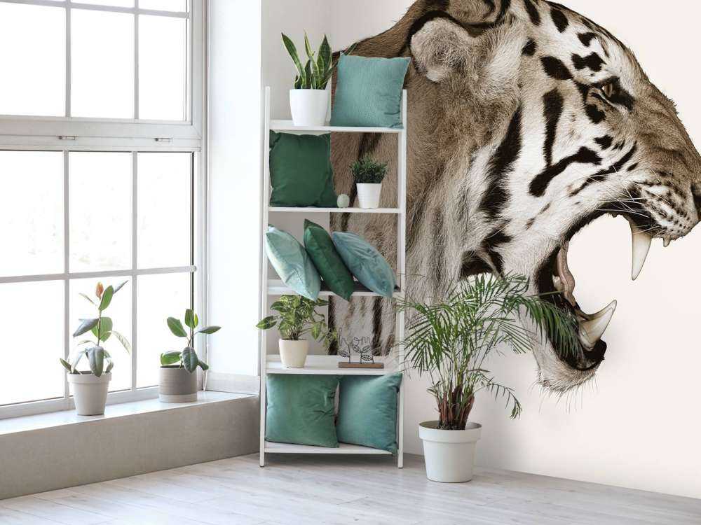 Tigre rugissant blanc