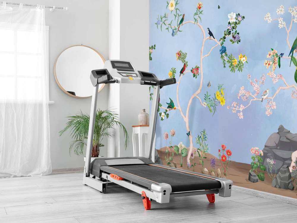 Symphonie du Jardin Gracieux