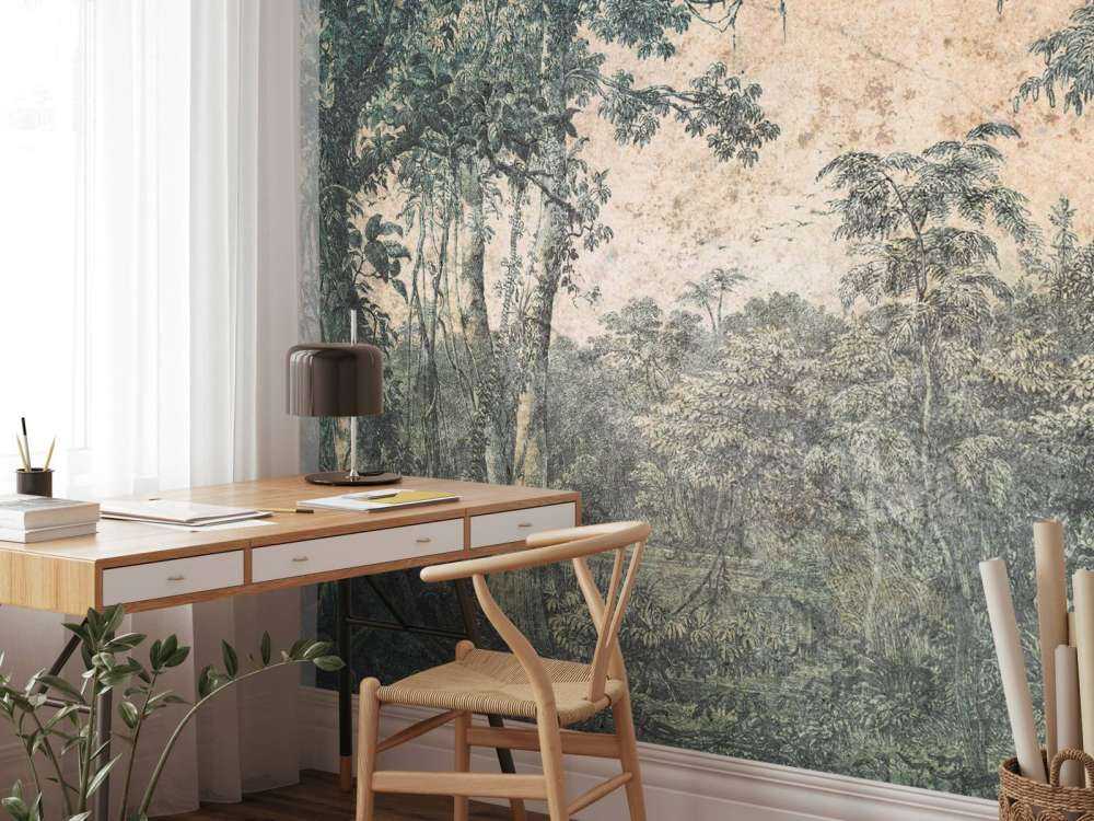 Panorama de forêt tropicale altérée