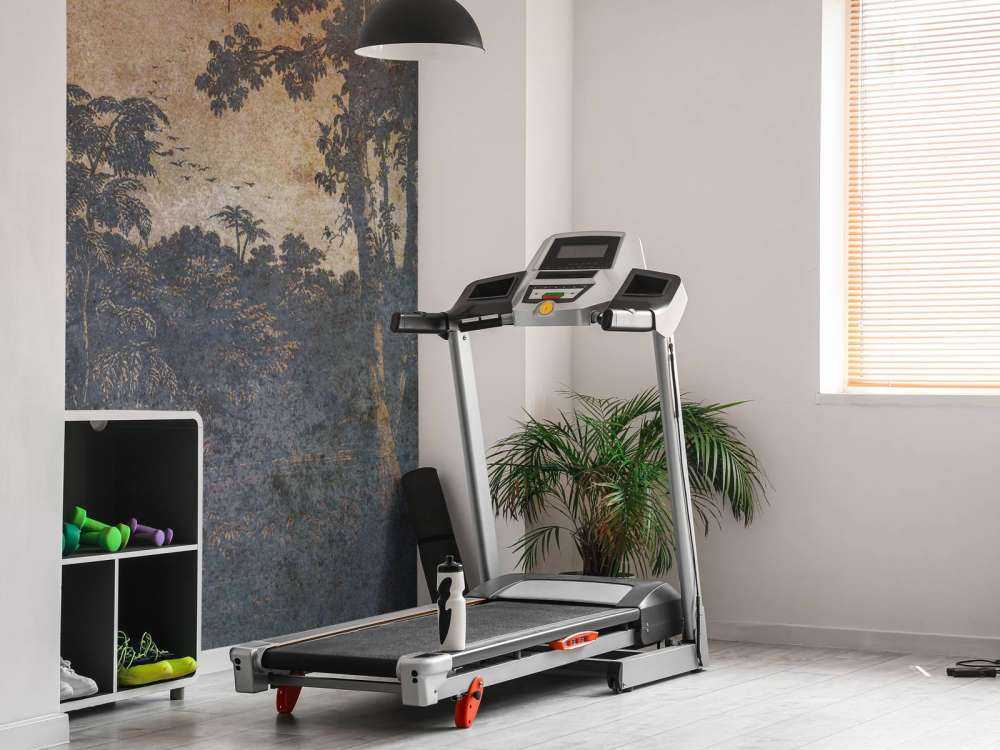 Jungle fanée dans la pénombre