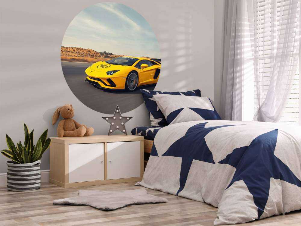 Lamborghini Aventador en action