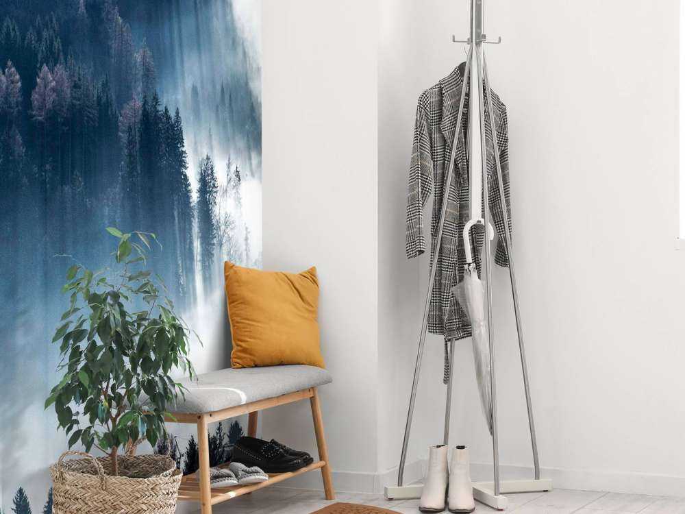 Lumière du matin dans la forêt brumeuse.