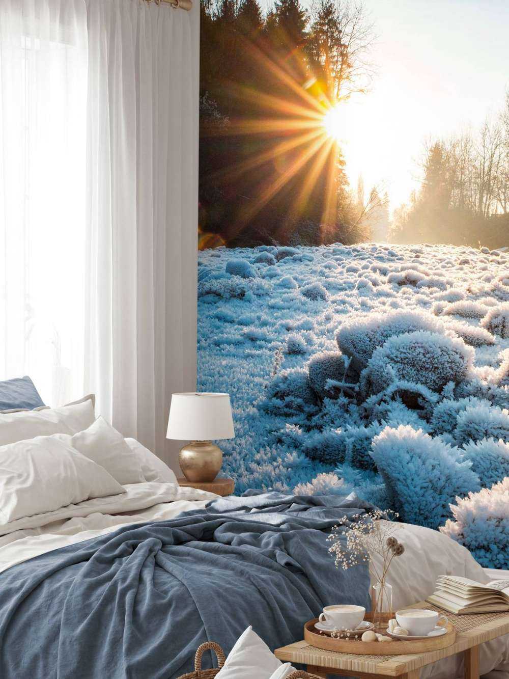 Matin glacial dans la forêt d'hiver