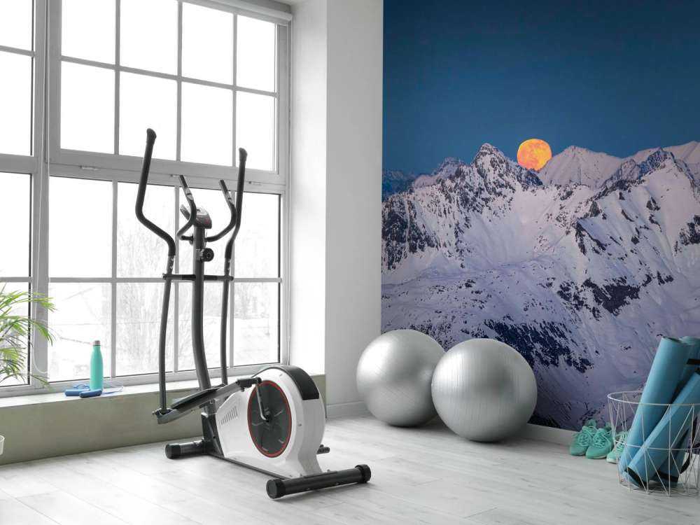 Pleine lune au-dessus des sommets alpins