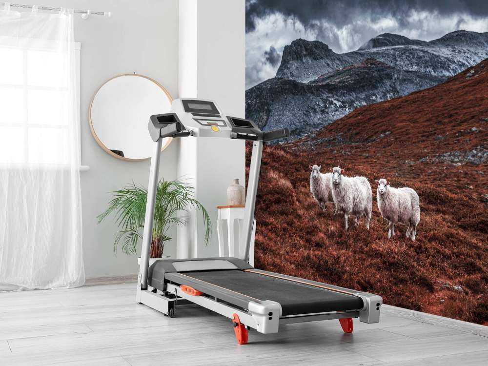 Moutons dans des montagnes rousses