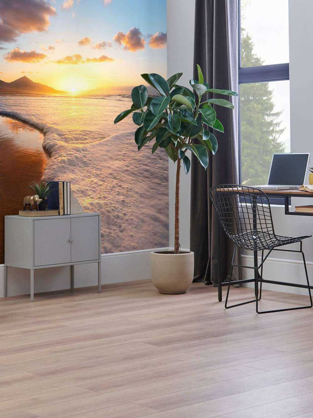 Coucher de soleil doré sur la côte