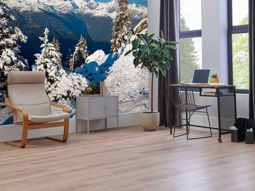 Pins enneigés avec vue sur la montagne