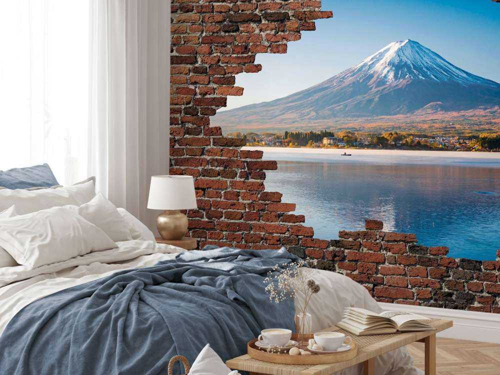 Vue sur le mont Fuji