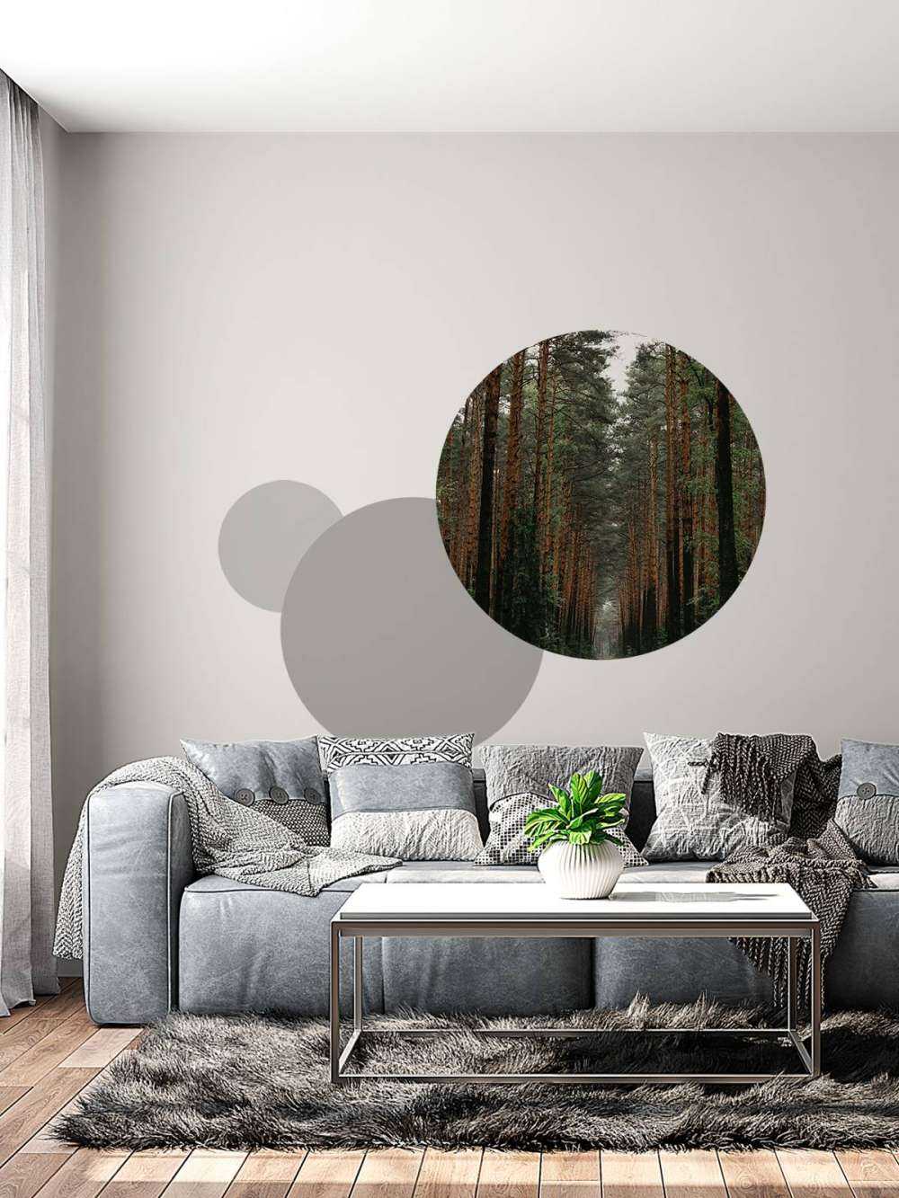 Symétrie de la Forêt