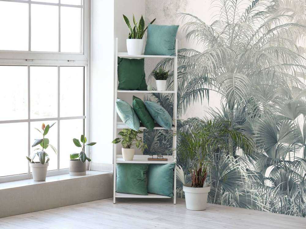 Forêt tropicale mystique