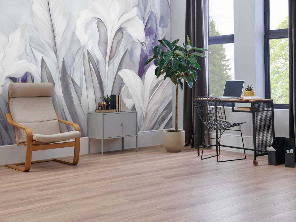 Iris au lever du soleil violet