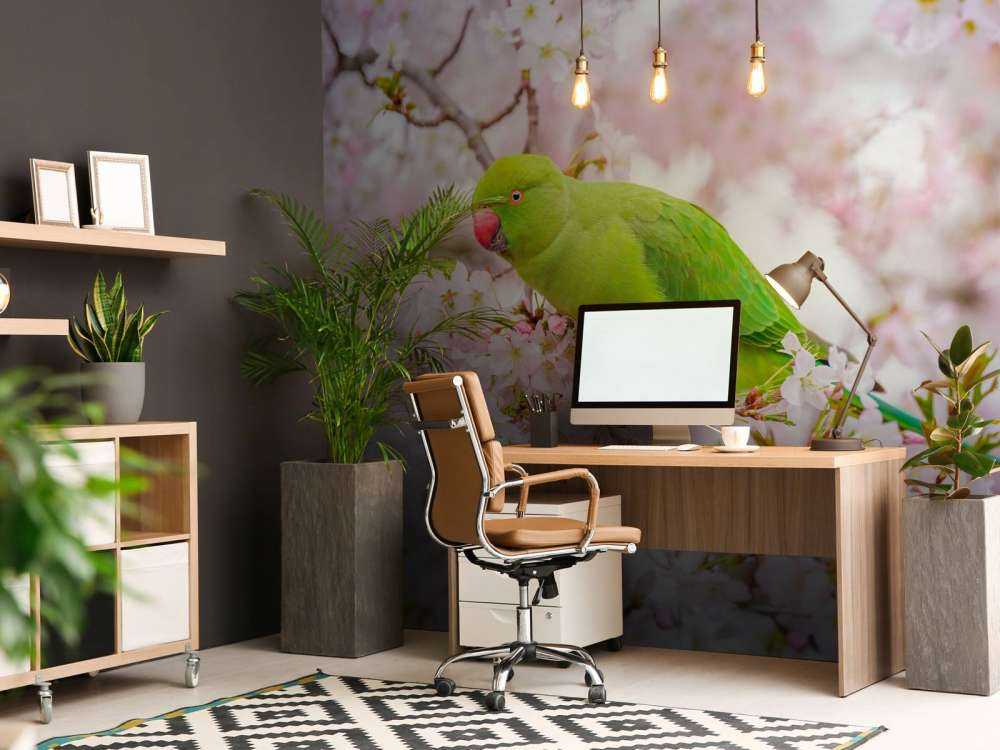 Perroquet assis sur un arbre en fleurs