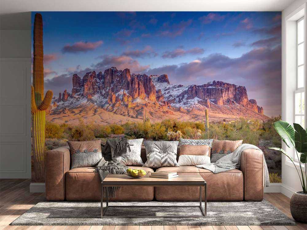 Cactus dans un paysage de montagne