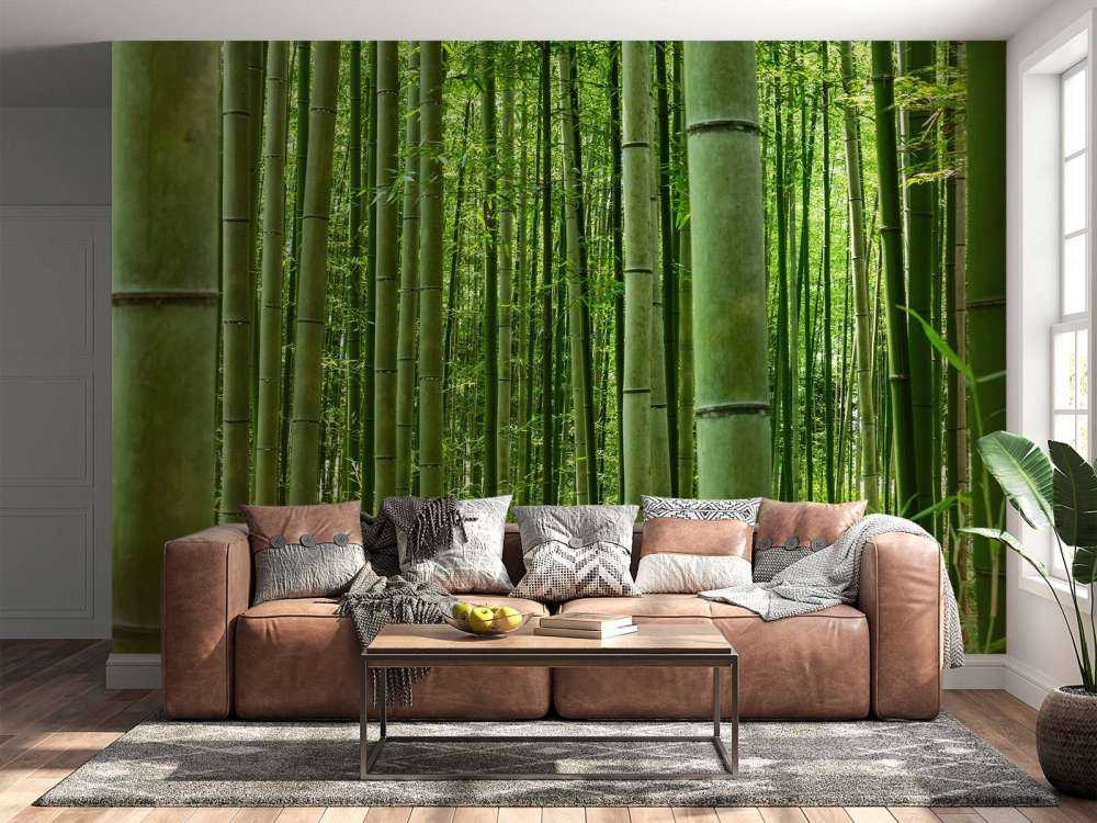 Au milieu de la forêt de bambous