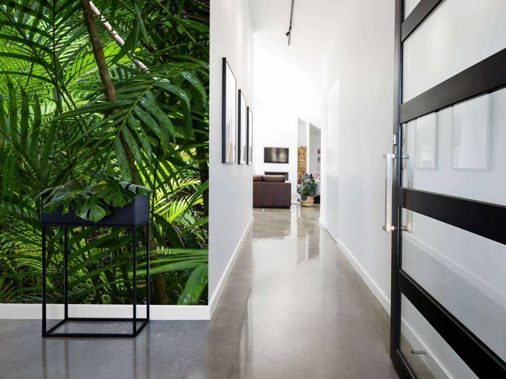 Forêt tropicale humide