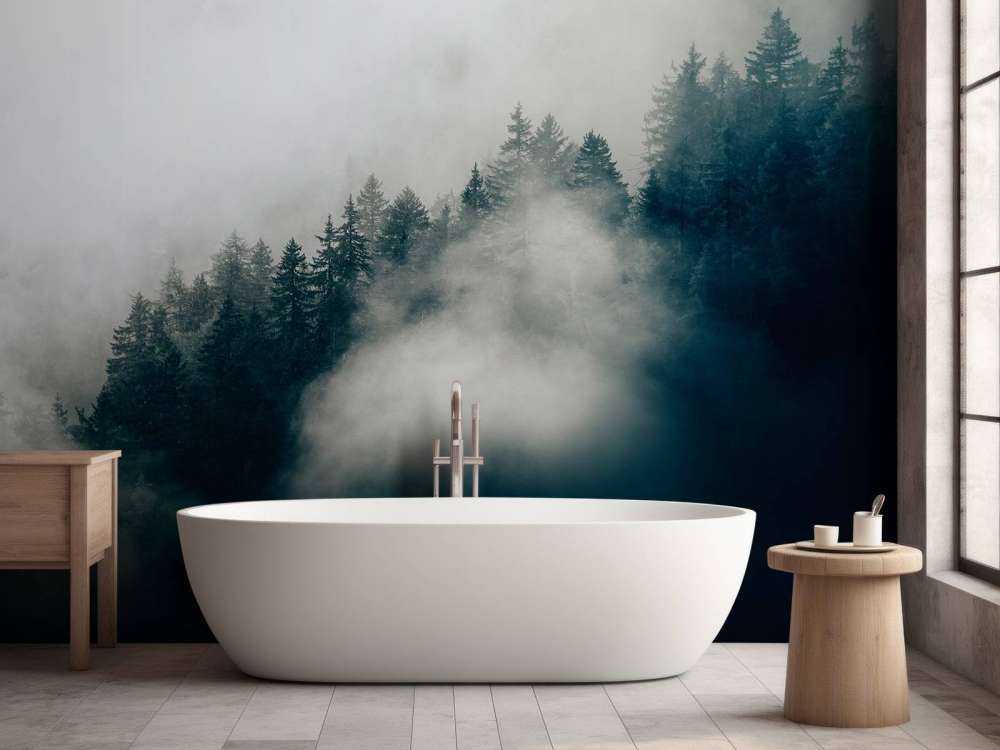 Réveil alpin brumeux