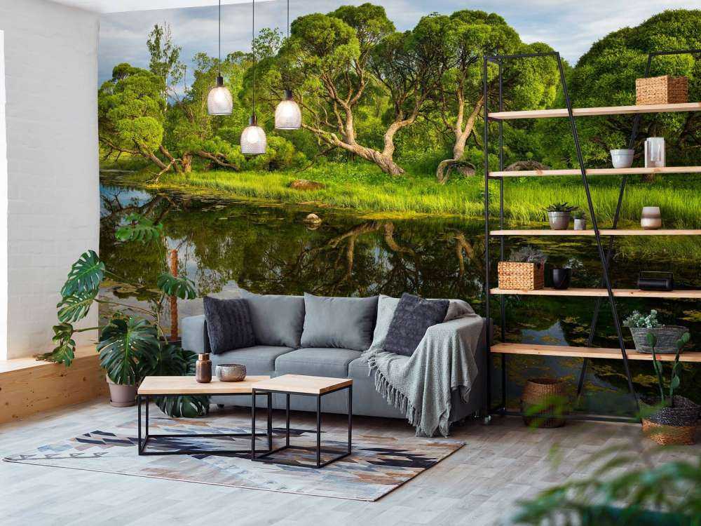 Arbres au bord d'un lac