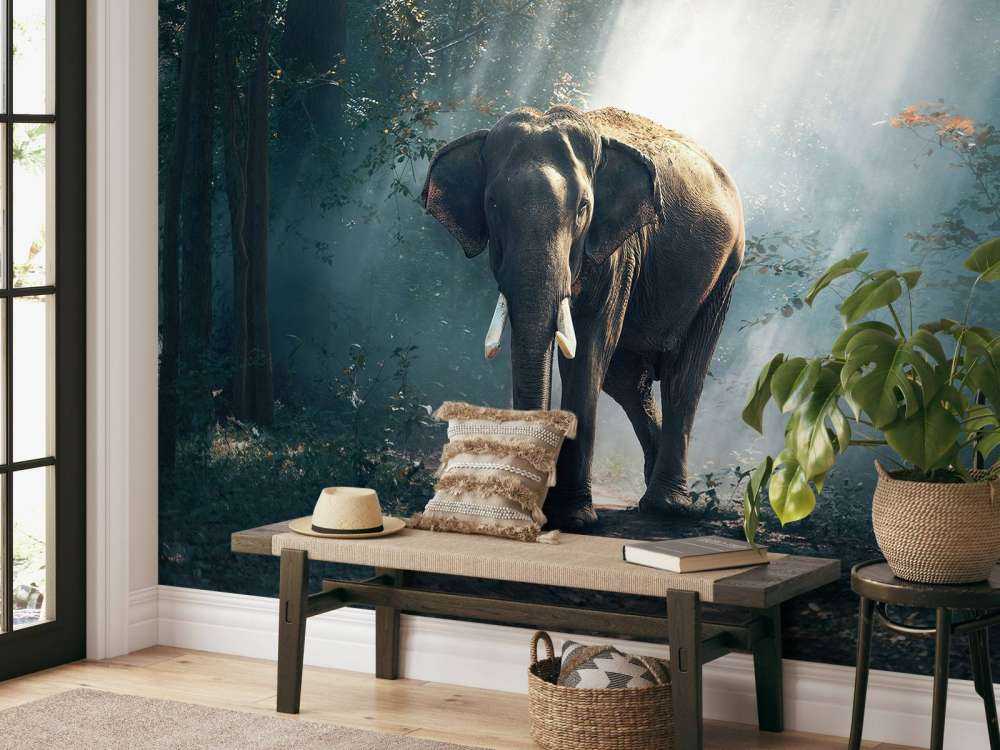 Éléphant dans une jungle