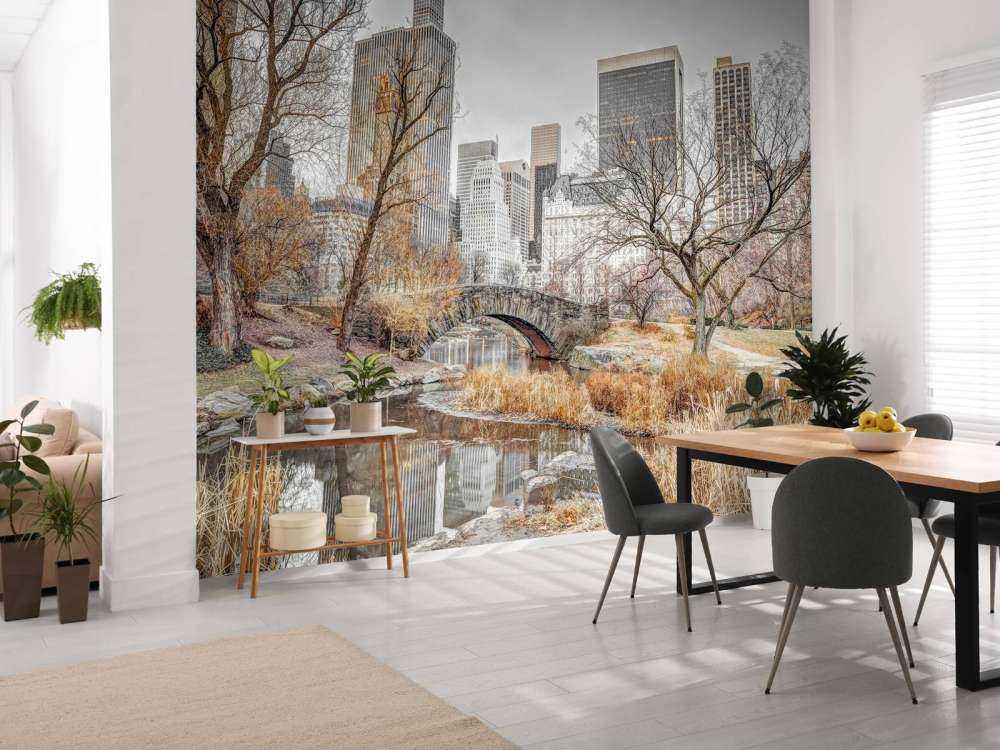 Central park en hiver