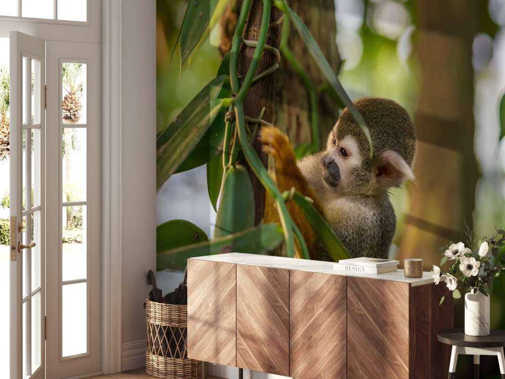 Petit singe dans les arbres