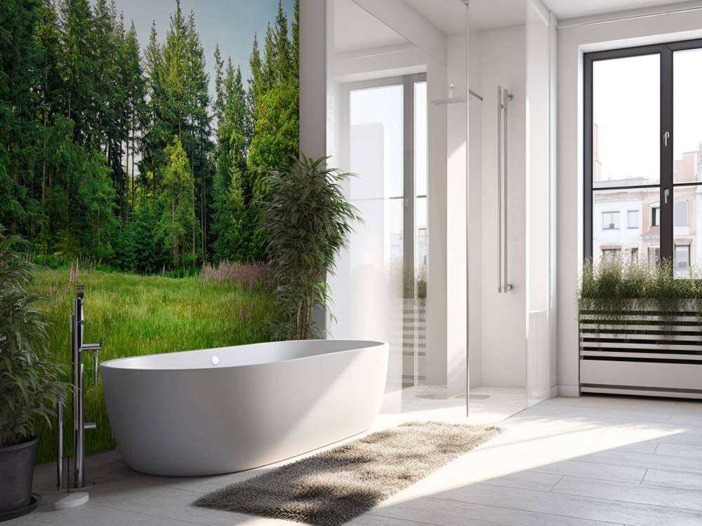 Espace ouvert dans une forêt