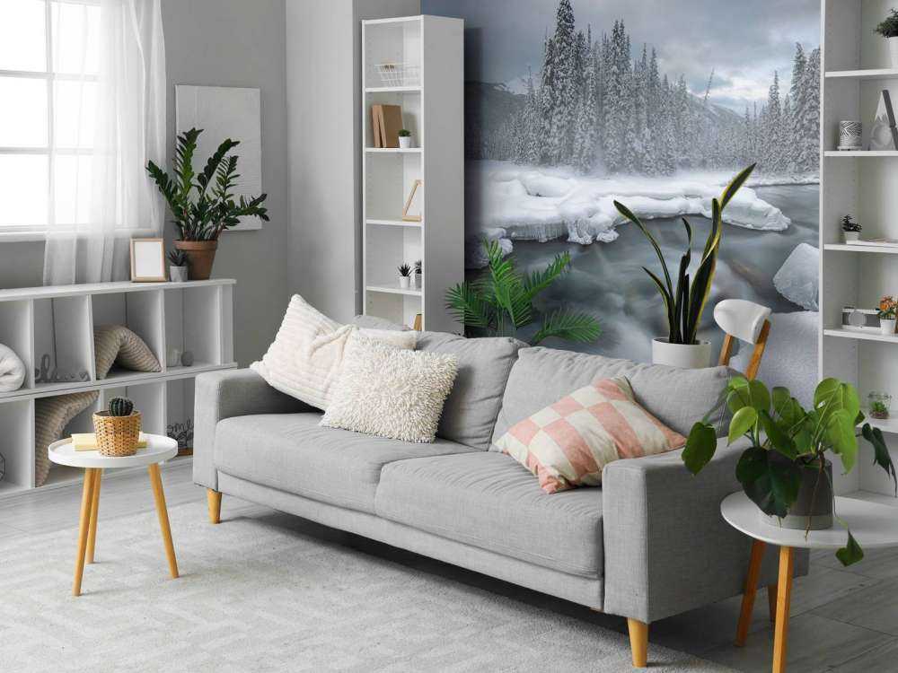 Winter wonderland - 1x