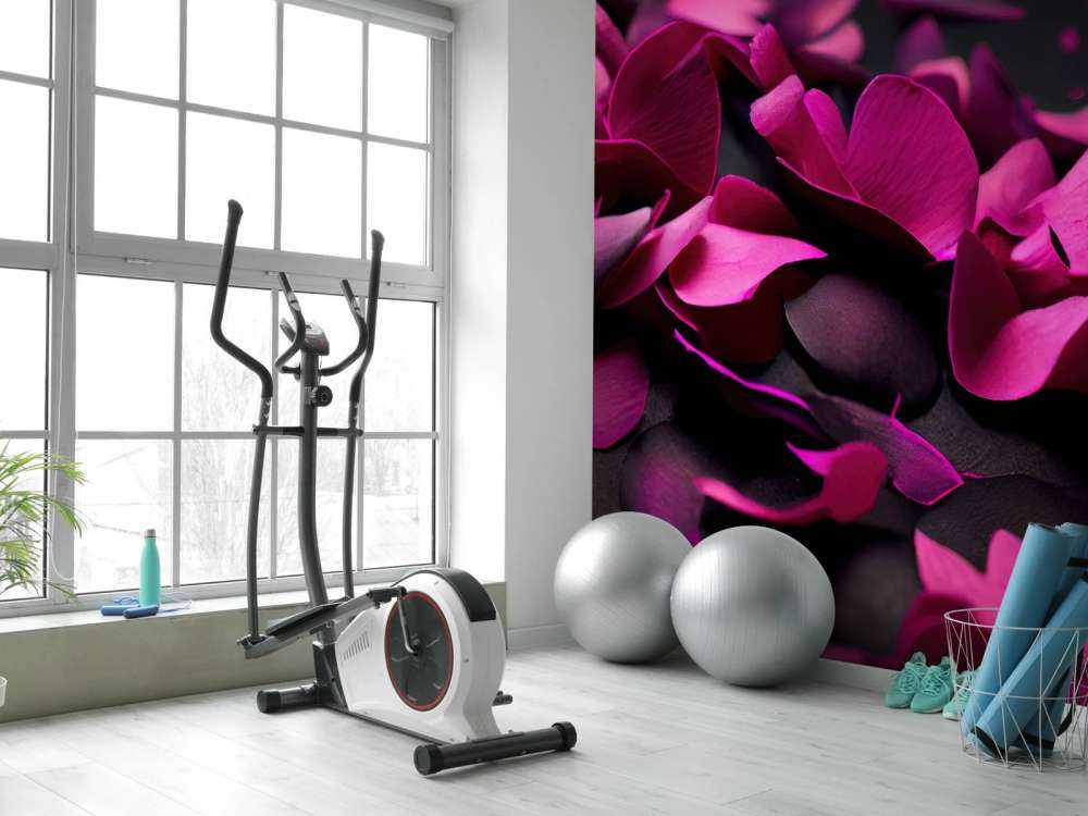 Hortensias rose foncé