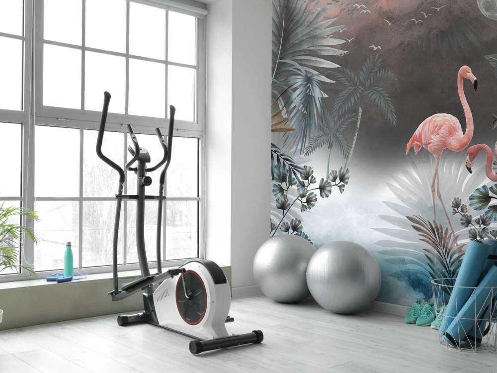 Flamants roses la nuit