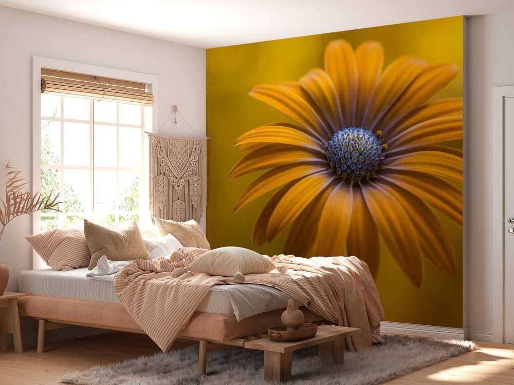 Sunshine Daisy