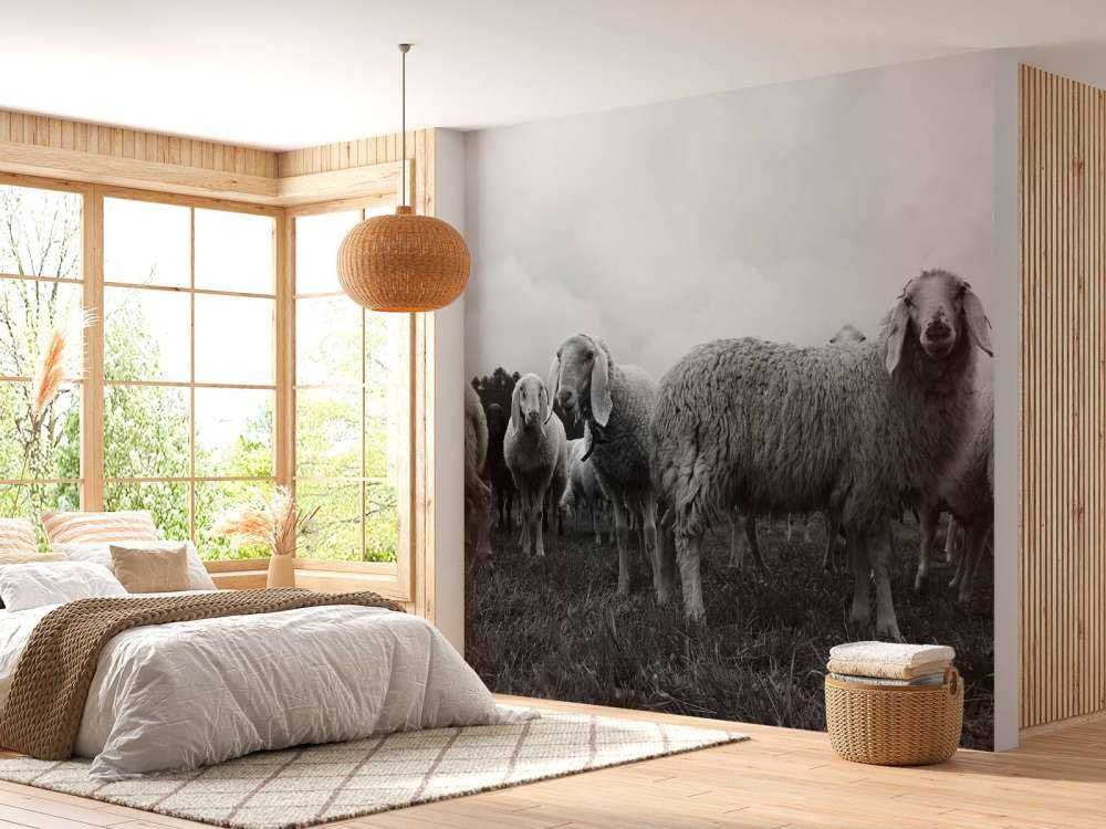 Troupeau de moutons en noir et blanc