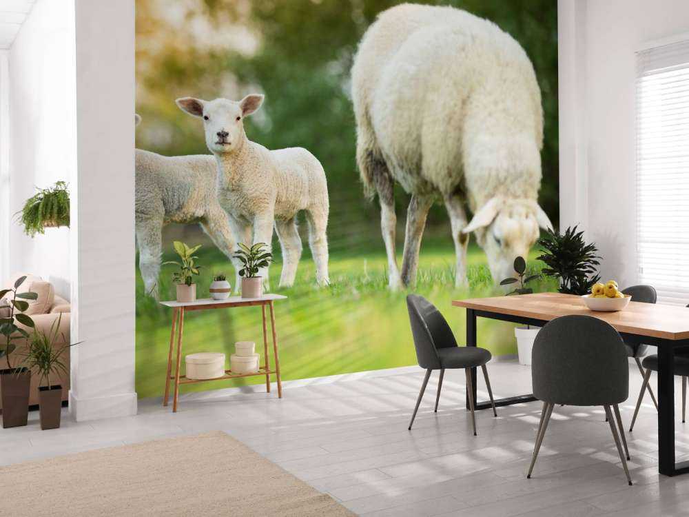 Mouton mère avec agneaux