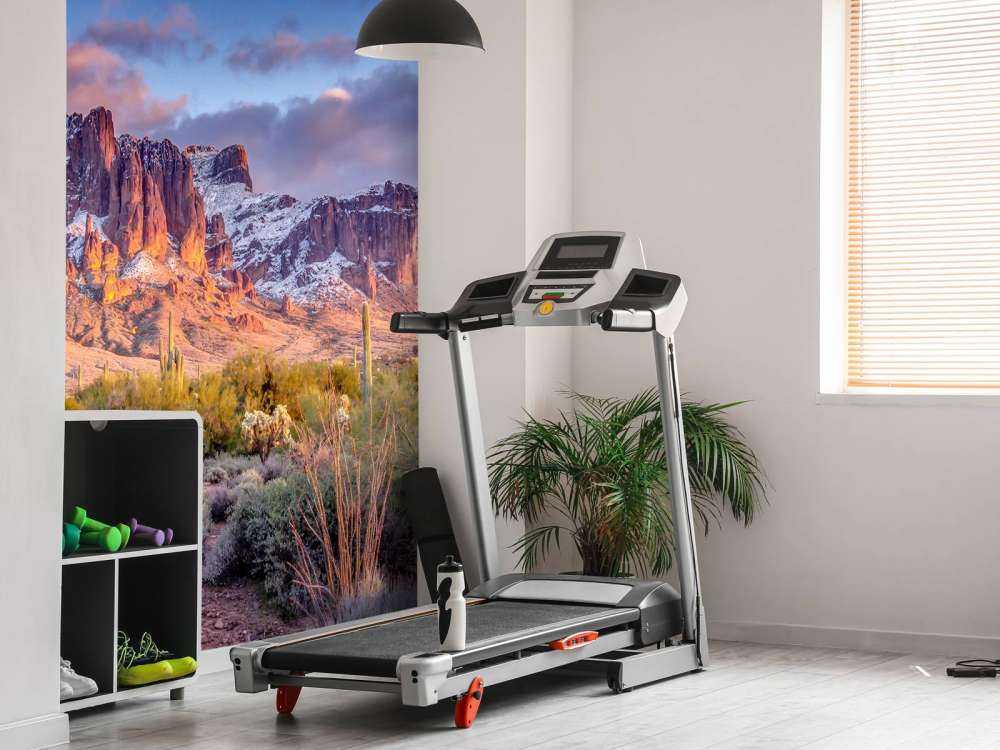 Cactus dans un paysage de montagne