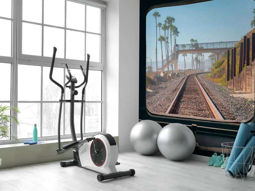 Ligne de chemin de fer le long de la côte des palmiers