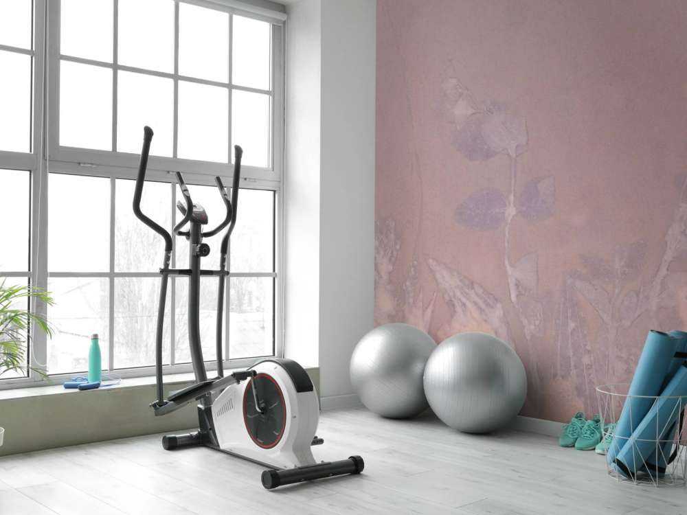 Géranium sauvage en neige - mauve